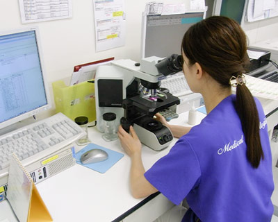 グラム染色 鏡検のようす