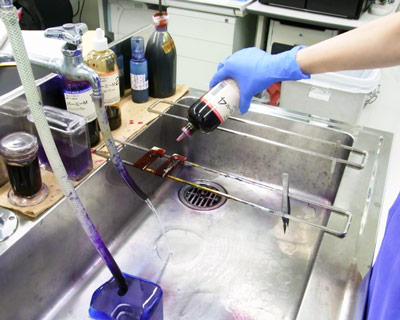 グラム染色 鏡検のようす